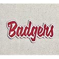 Wisconsin Badgers Vintage Embroidered Iron-On Patch - 3x3 Inches
