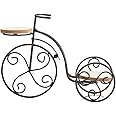 TJ Global 2-Plant Iron Bicycle Plant Stand, Metal Wire Flower Pot Wrought Iron Planter for Plants, Flowers, Garden, Patio, Office, Balcony Outdoor and Indoor Decor