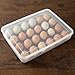 Eslite Covered Egg Holder,Eggs Dispencer for 24 Eggs - Clear