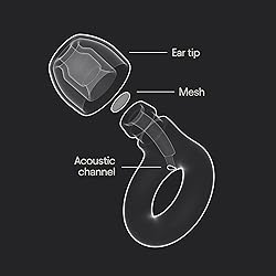 Loop Engage 2 Ear Plugs - Everyday Noise Relief