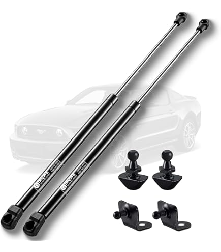 Amazon.com: TSUBASA Lift Supports for Toyota Matrix E130 XR XRS