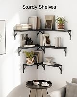 Pipishell Floating Shelves Set of 6 Rustic Paulownia Wood Wall Shelves view 2