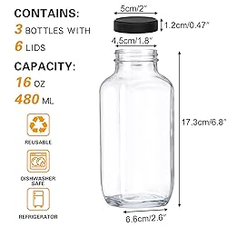 Moretoes 3pcs 16oz Glass Juice Bottles with Lids