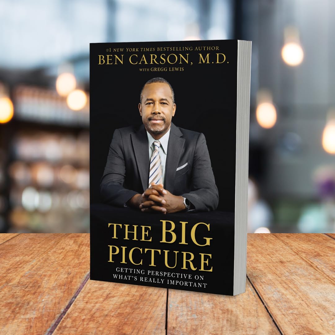 The Big Picture: Getting Perspective on What's Really Important The Big Picture: Getting Perspective on What's Really Important Paperback Kindle Audible Audiobook Hardcover Audio, Cassette