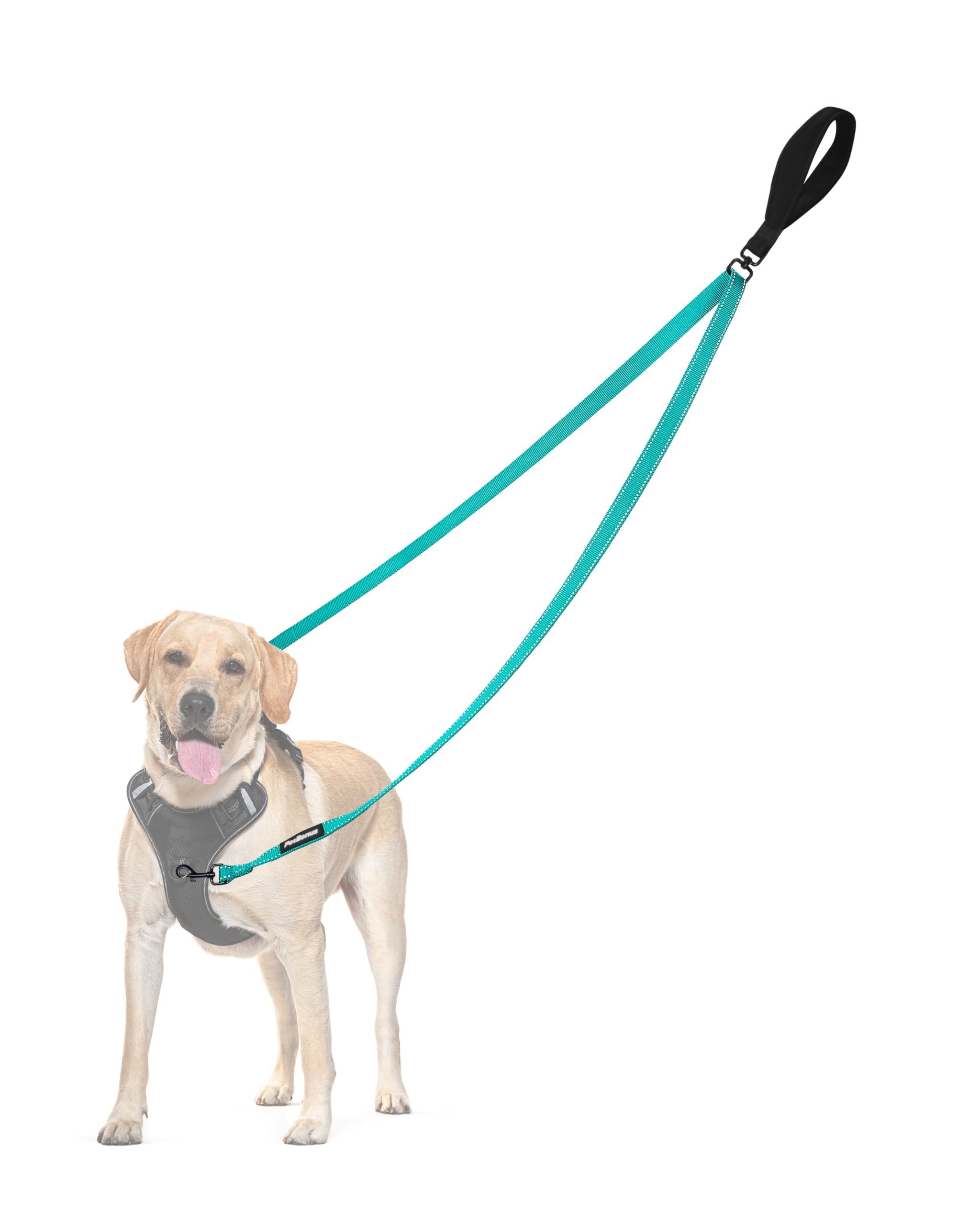 PetBonus Two Point Control Dog Lead, Works with No Pull Harnesses, No Tangle Training Leads, Soft Padded and Reflective Walking Lead, Converts to Single Lead for Medium Large Dogs (Turquoise)