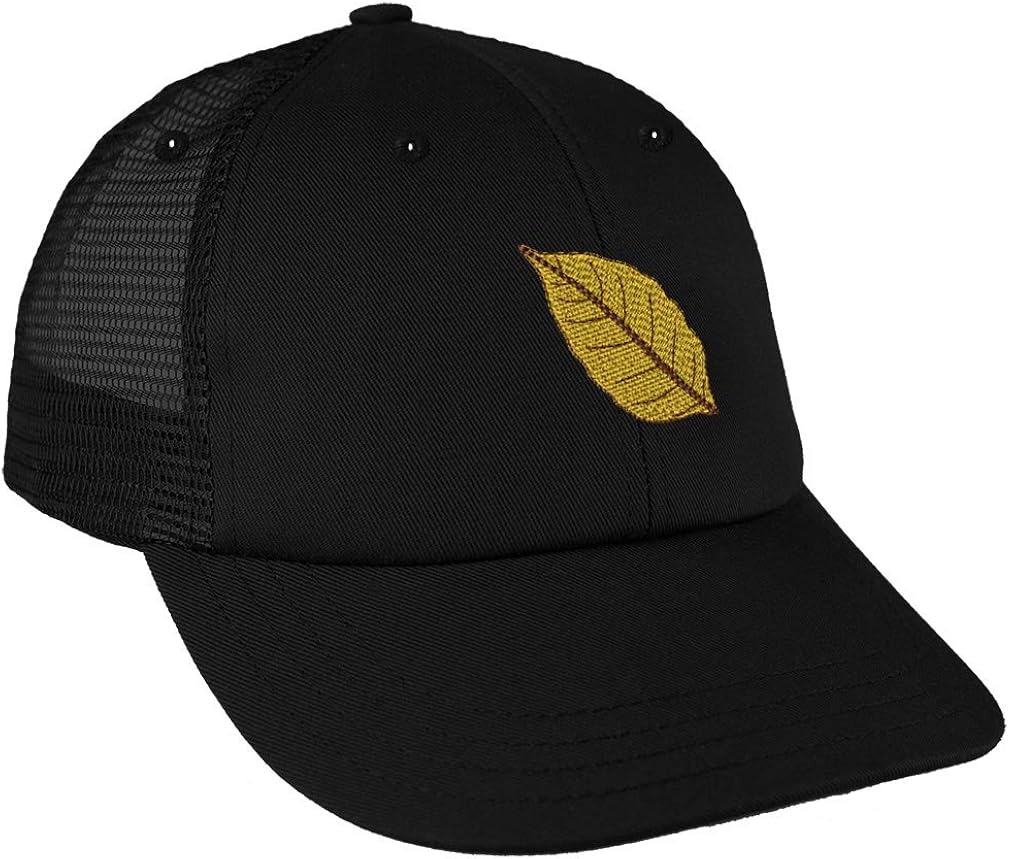 design a fitted cap