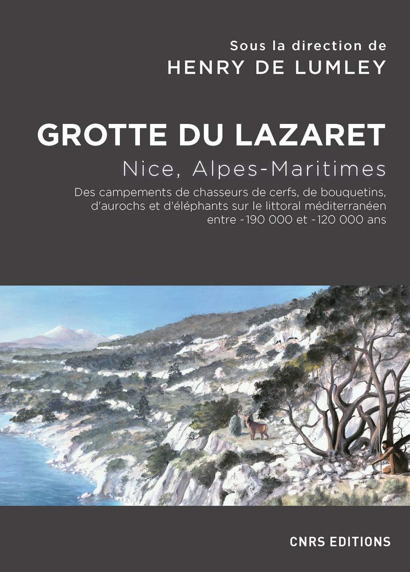 Amazon Com Grotte Du Lazaret Nice Alpes Maritimes French Edition Lumley Henry De Books