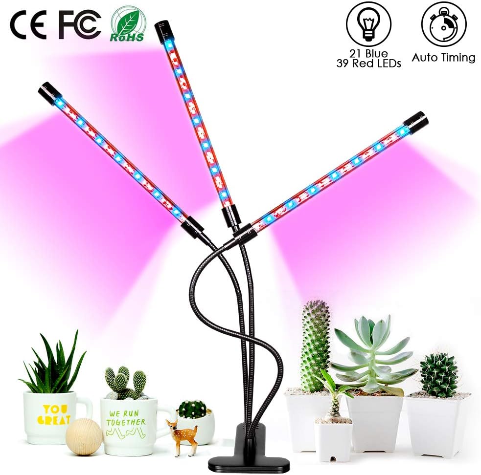 Best plant grow desk lamp