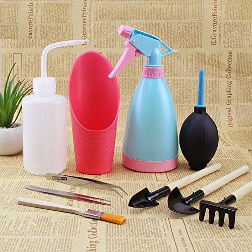 10pcs Succulent Miniature Plants Potted Plant Garden Hand tools set,Include trowel?cultivator?transplanter?Sprayer?Sharp Mouth Watering Can?Soil Cup?Air-blowing?Hairbrush?Curved and Straight Tweezers