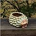 Youfui Ceramic Animal Flowerpot Succulent Plants Container Desk Mini Ornaments (Hedgehog)