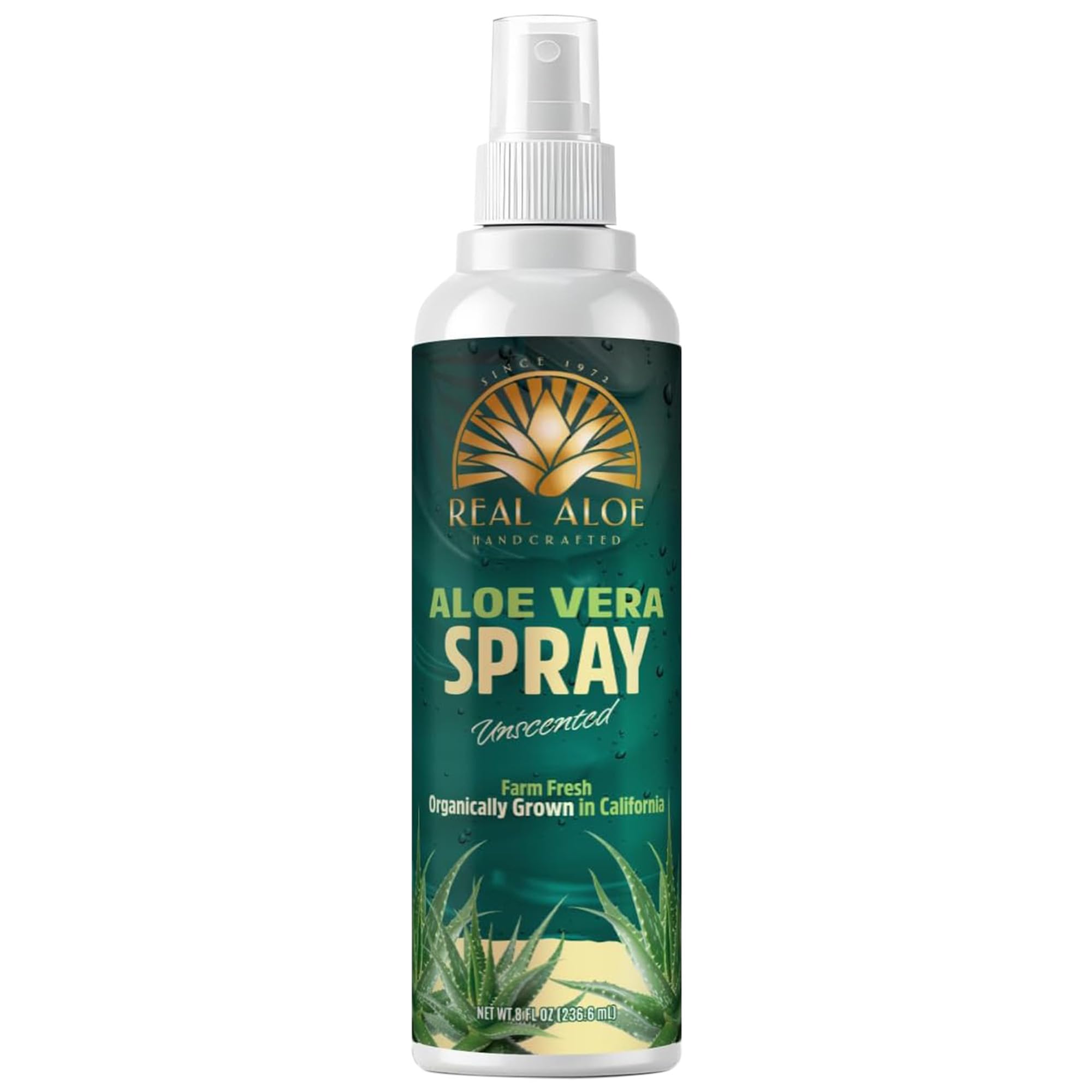 Real Aloe Inc Aloe Vera Spray - 8 oz