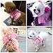 M2cbridge Pink Dog Puppy Harness Leash Collar Cat Vest Strap with Angel Wings (XS)