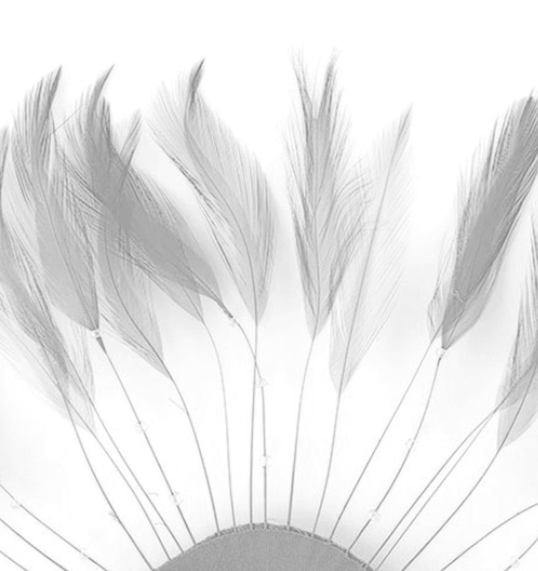 Silver Stripped Hackle Feathers - Fascinators, Weddings..4 inches Approx x 8