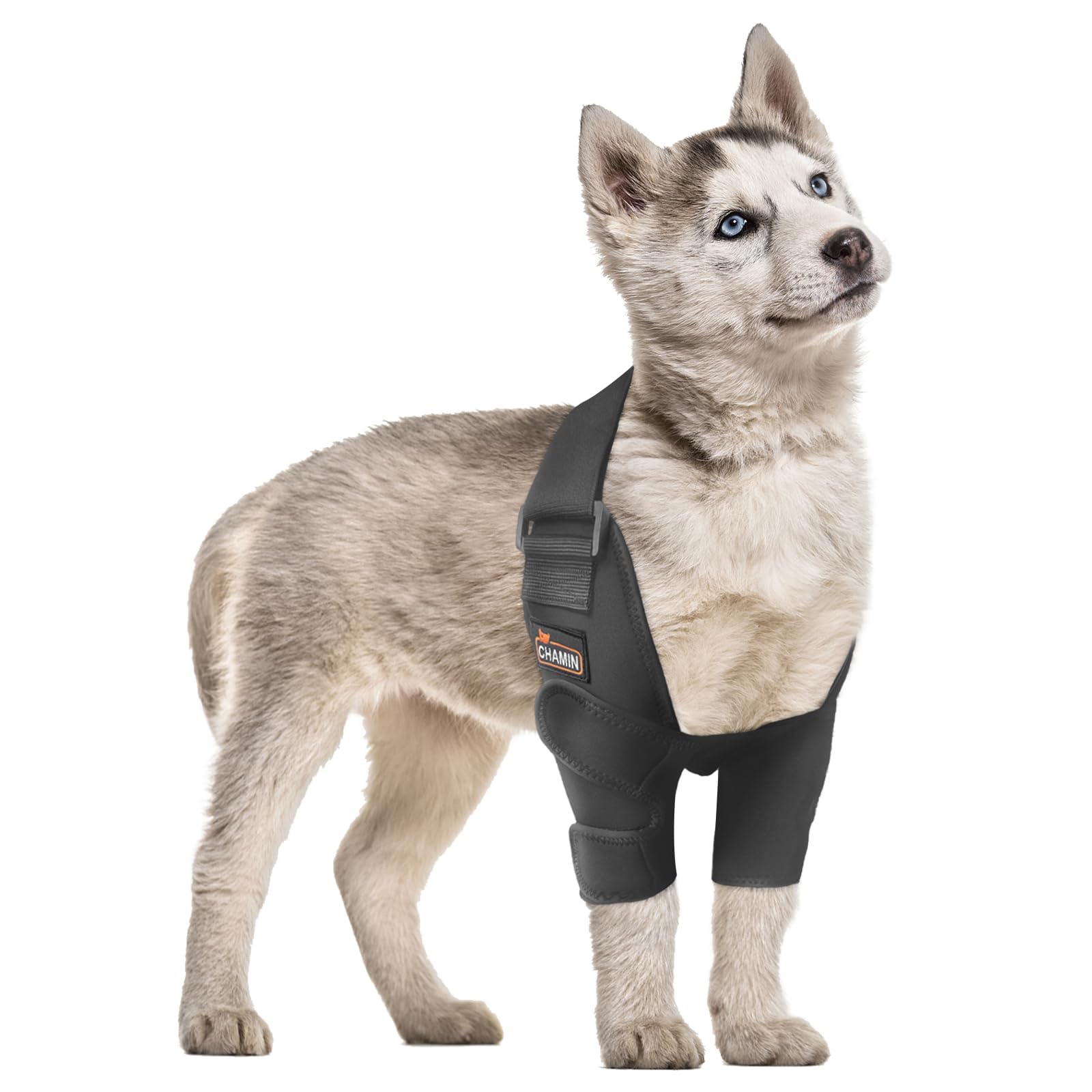 Photo 1 of CHAMIN Dog Elbow Brace for Shoulder and Front Leg, Dog Elbow Protector Pads for Hygroma, Arthritis, Dysplasia, Pressure Sores, Shoulder Dislocation, Elbow Injury and Wound Healing,et(M)