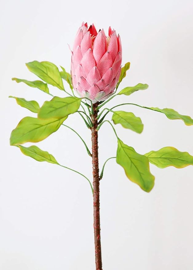 Artificial Protea Flower in Pink 37.5" Home & Kitchen