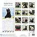 Scottish Terrier Calendar - Dog Breed Calendars - 2017 - 2018 wall Calendars - 16 Month by Avonside