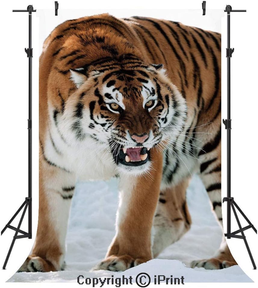 Amazon Com Tiger Photography Backdrops Close Up Of Panthera