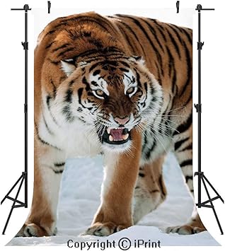 Amazon Com Tiger Photography Backdrops Close Up Of Panthera