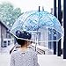 Kung Fu Smith Women Half Automatic Clear Flower Bubble Dome Shape Wind Stick Rain Umbrella, Blue