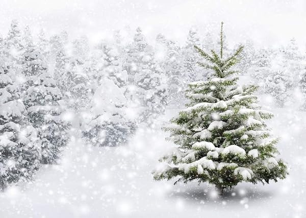 WINTER CHRISTMAS BACKDROP NATURAL WINTER FOREST SNOWFLAKE SNOWFALL BACKGROUND XMAS WHITE SNOW TREE PHOTO HOME PARTY DECORATION PHOTO STUDIO PROPS 7X5FT