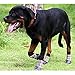 abcGoodefg Pet Dog Puppy Socks Shoes Boots, Outdoor, Waterproof, Nonslip, Rubber Sole with Strips, Comfortable Design, M (#3, Plaid)