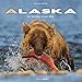 alaska le temps d'un ete by 