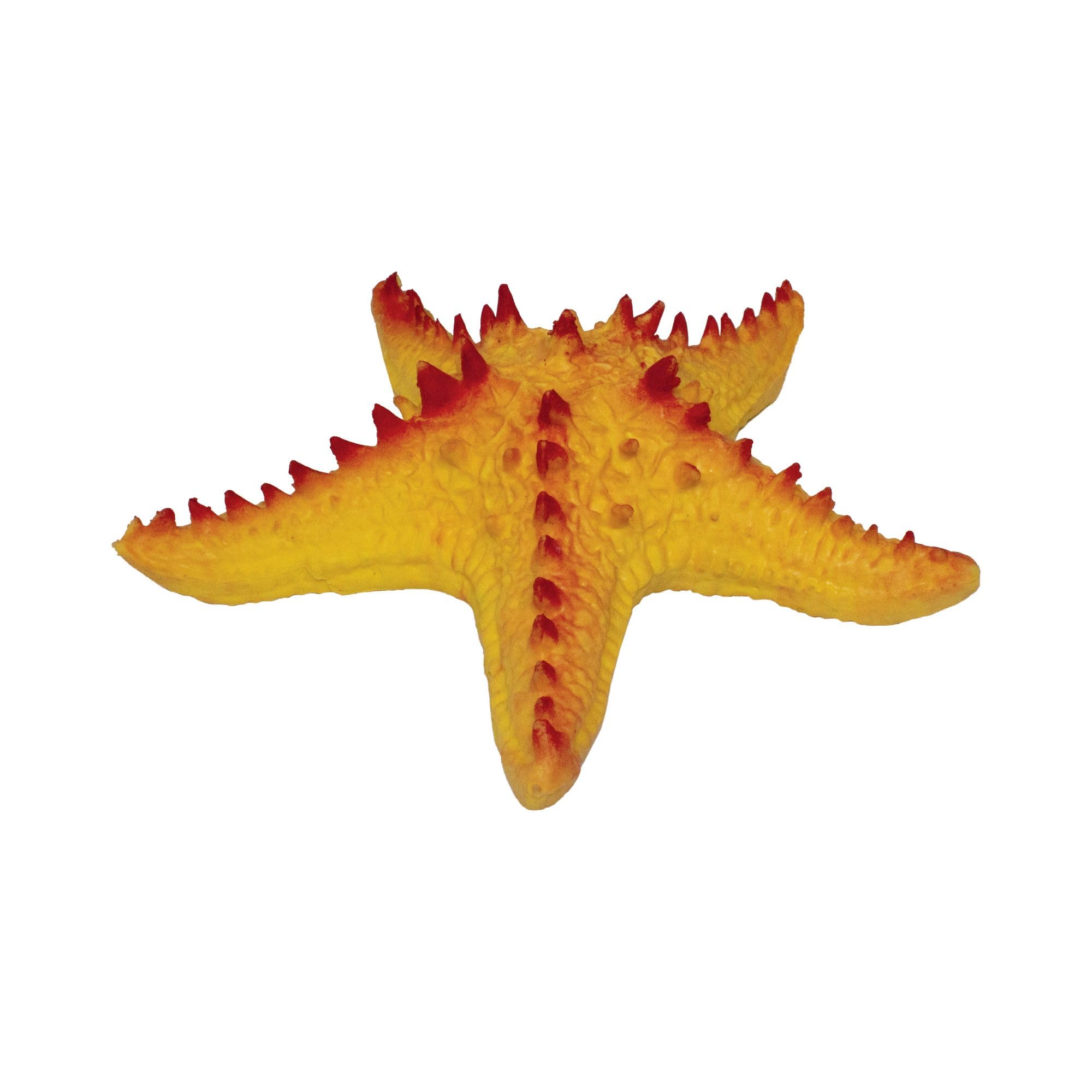 Rep Pals - Stretchy Starfish Toy by Deluxebase. Animal Shaped Squishy Sensory Fidget Toys, Stress Relief Squeeze Figure, Soft Flexible Rubber, Fun Fantasy Gift for Kids