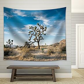 Beautiful Desert Landscape - Fabric Wall Tapestry Home Decor - 51x60 inches