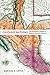 Chicano Nations: The Hemispheric Origins of Mexican American Literature (American Literatures Initiative, 4)