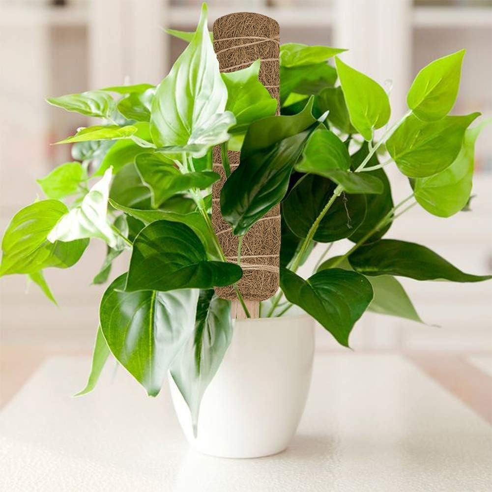 Easy-topbuy Palo De Fibra De Coco, Soportes para Plantas Plantas ...