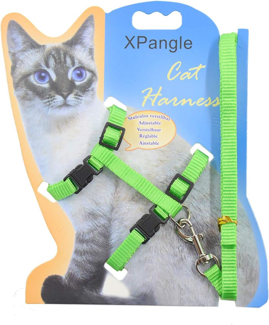 kitten harness pets at home