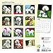 Bichon Frise 2018 Calendar