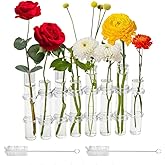 8PCS Test Tube Vases Decorative Glass Flower Vase Hinged Flower Vases Planter Flower Arranging Container Hydroponic Flower Holder Decor with 15PCS Hooks and 2PCS Brushes (VASES-B)