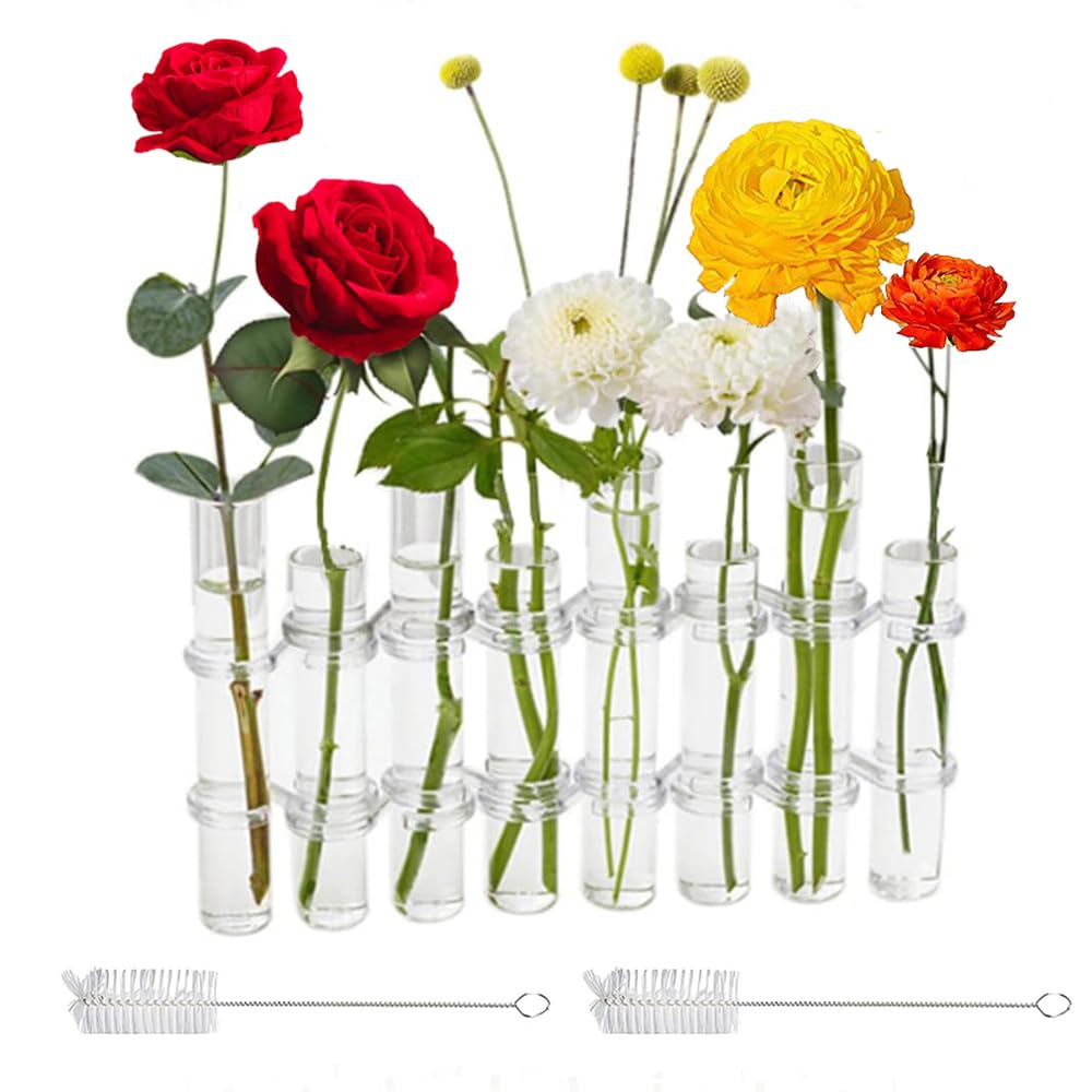 Photo 1 of 8PCS Test Tube Vases Decorative Glass Flower Vase Hinged Flower Vases Planter Flower Arranging Container Hydroponic Flower Holder Decor with 15PCS Hooks and 2PCS Brushes (VASES-B)