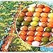 DIY 5D Diamond Painting by Number Kits,Full Drill Crystal Rhinestone Embroidery Pictures Arts Craft for Home Wall Decoration Baseball & American Flag 15.7×11.8Inches