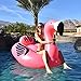 GoFloats Giant Inflatable Flamingo | Includes Bonus Flamingo Drink Float | New for 2018