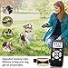 Dog Training Collar with Remote, Rechargeable Waterproof Dogs Bark Collar with 3 Training Modes and Automatic Mode, Beep, Vibration, Static, up to 2400Ft Remote Range for Small Medium Large Dogsthumb 2