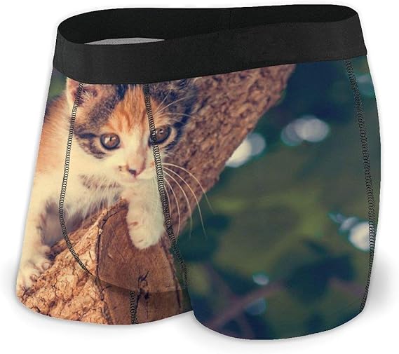 Amazon Co Jp ボクサーパンツ メンズ かわいい猫動物 ボクサーブリーフ ボクサーパンツ メンズ 下着 通気 吸汗 速乾 抗菌防臭 服 ファッション小物