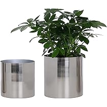 61-jX6QltGL._AC_UL210_SR210,