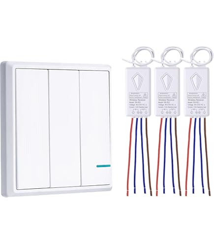 Thinkbee Wireless Light Switch and Receiver Kit, Mini Remote