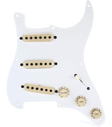 Amazon.com: Fender Pre-Wired Strat Pickguard, Vintage Noiseless