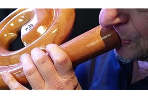 Australian Treasures - Australian Treasures Spiral Travel Didgeridoo - AT-Spiral including travelbag!
