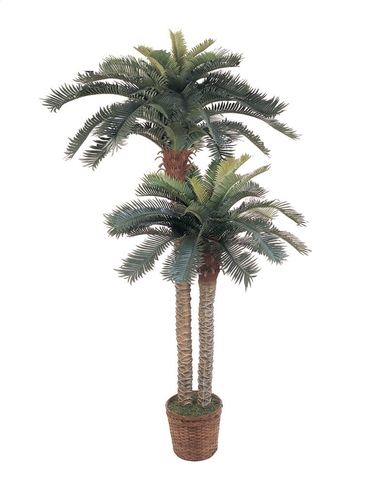 Nearly Natural 5033 Sago Palm Double Potted Silk Tree, 6-Feet and 4-Feet, Green