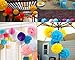 Kubert Party Tissue Paper Flowers of 8, 10, 14-Inch, 18 Pieces, Assorted Colors