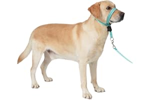 BARKLESS Dog Head Collar, Reflective Head Halter for Small Medium Large Dogs with Soft Padding, No Pull Mouth Harness with Training Leash, Adjustable Muzzle Leash for Gentle Walking