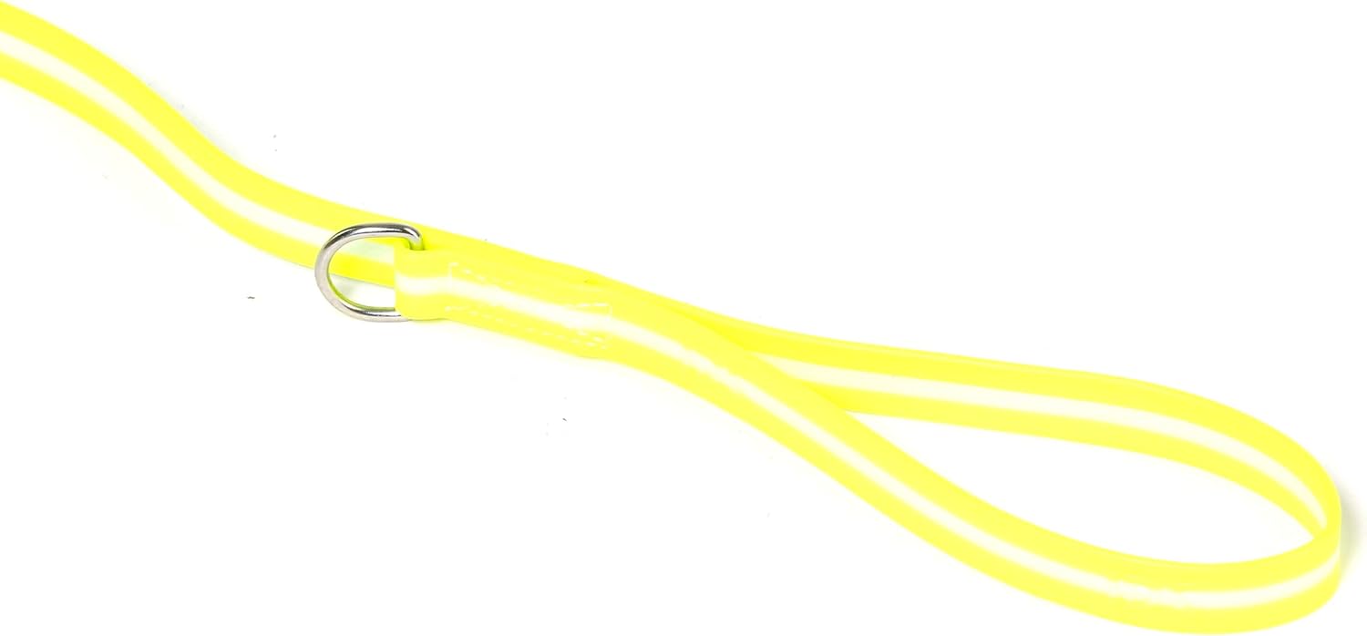 Julius-K9 IDC-Lumino Phosphorescent Leash with Handle, 19 mm x 2 m, Sun - Image 4