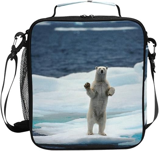 polar lunch box