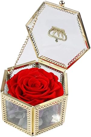 Stella Di Natale Appassita.Hjjh Fiori Presenti Fiori A Sei Facce Rose Mai Appassite Per Lei Regali Di San Valentino Per Donne Regali Mamma Rose Mai Appassite Festa Della Mamma Red Amazon It Casa E Cucina