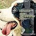Best Liquid Glucosamine for Dogs, Non-GMO, 32oz Hip and Joint Supplement, Faster Than Chews, Arthritis Pain Relief: Chondroitin, MSM, Hyaluronic Acid, Manganese, Extra Strength, FREE eBook