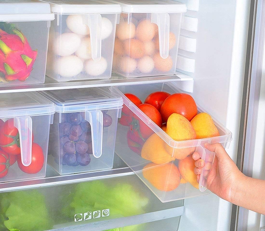 Dhyani E Store Refrigerator Food Storage Organizer Lunch Boxes with Handle,Lid Top Cover and Transparent